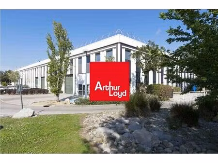 location local d'activités 180 m² à 572 m²