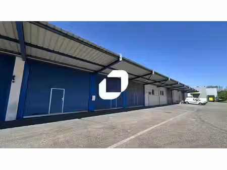 location local d’activités mundolsheim 67450 96m² à 685m²