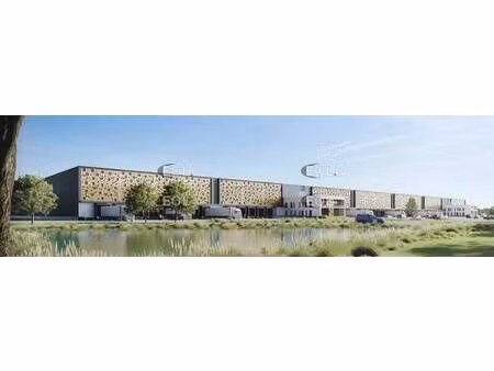 location entrepôt 43 945 m²