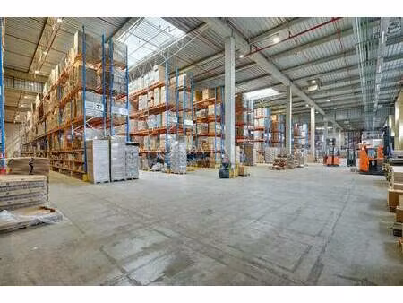 location entrepôt 3 961 m²
