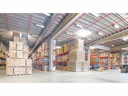 location entrepôt templemars 59175 7528m²