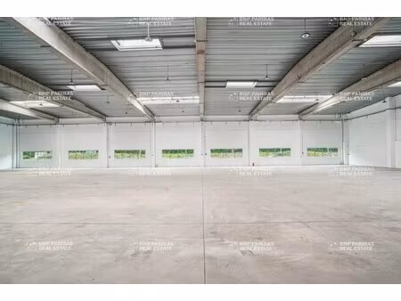 location local d'activités 1 313 m² à 3 979 m²