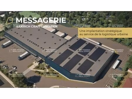 location entrepôt logistique illkirch-graffenstaden 67400 5570m²