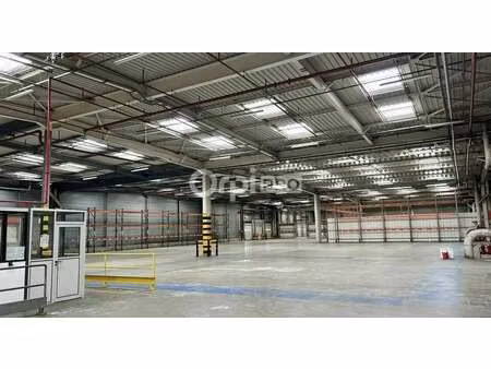 location local d'activités 500 m² à 7 520 m²