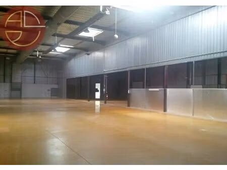 location entrepôt toulouse 31000 2900m²
