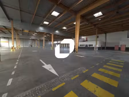 location entrepôt 4595m²