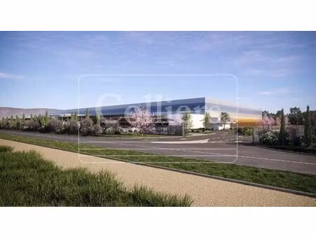location entrepôt cavaillon 84300 21420m²