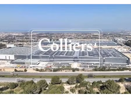 location entrepôt 24 954 m²