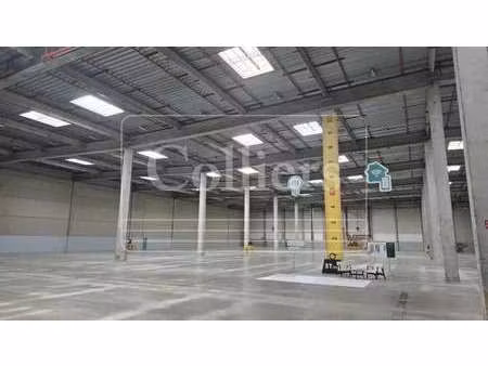 location entrepôt 25 609 m²