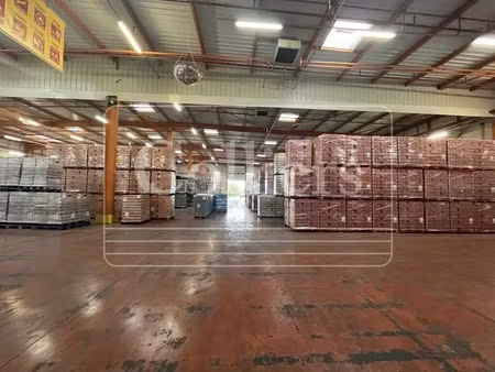 location entrepôt 3 180 m²