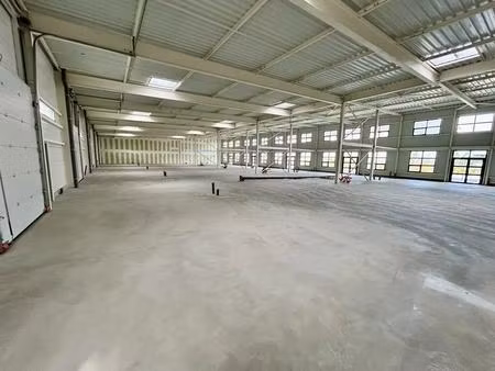 location local d'activités 260 m² à 15 174 m²