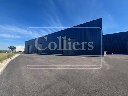 location local d'activités 243 m² à 1 255 m²