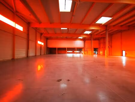 location local d'activités 287 m² à 1 636 m²