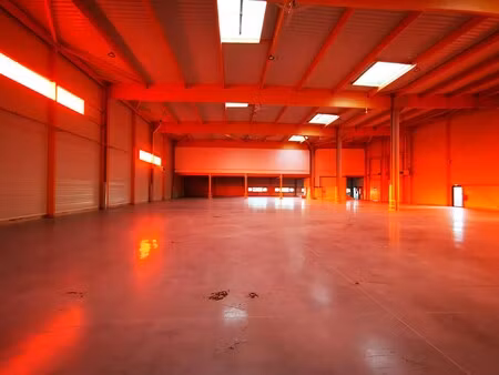 location local d'activités 287 m² à 1 636 m²