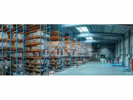 location entrepôt moissy-cramayel 77550 21500m²