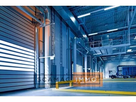location entrepôt 4 200 m²