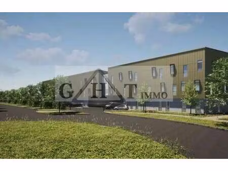 location entrepôt 240 m²