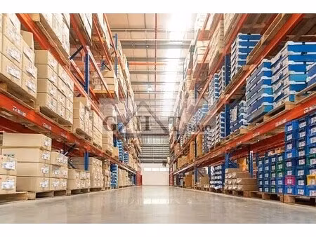 location entrepôt 2 827 m²