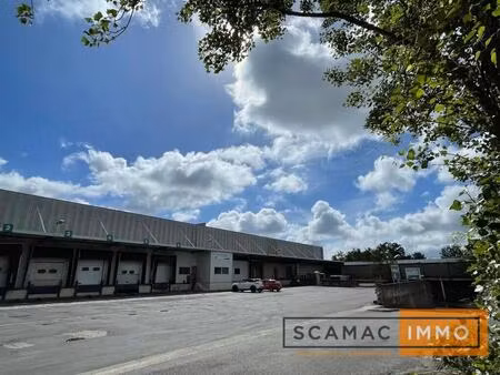 location entrepôt 7 005 m²
