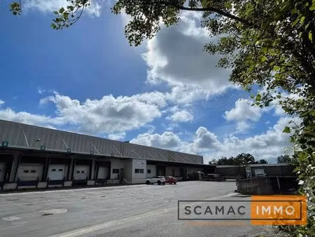 location entrepôt thiais 94320 7005m²