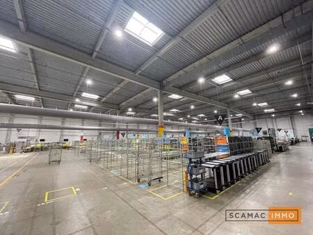 location entrepôt 9 455 m²