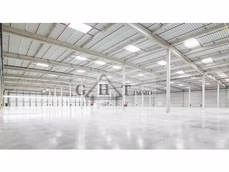 location entrepôt gretz armainvilliers 77220 50331m²