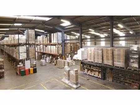 location entrepôt 4 100 m²