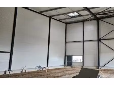 location local d'activités 981 m²