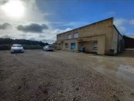 location local d’activités patay 45310 310m²