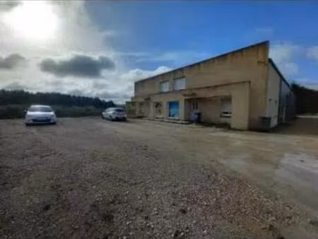 location local d'activités 310 m²