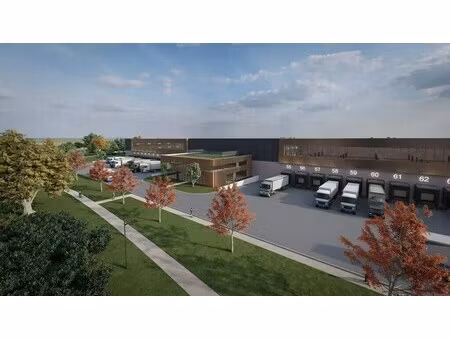 location entrepôt 10 000 m²