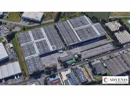 location entrepôt toufflers 59390 9148m²