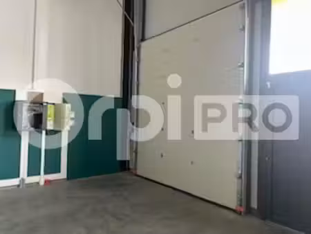 location local d’activités frans 01480 196m²