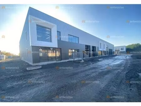 location local d'activités 229 m²