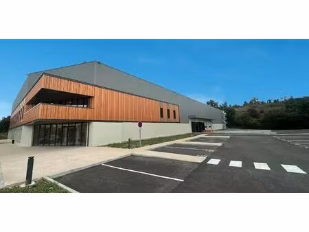 location local d’activités saint laurent de mure 69720 4560m²