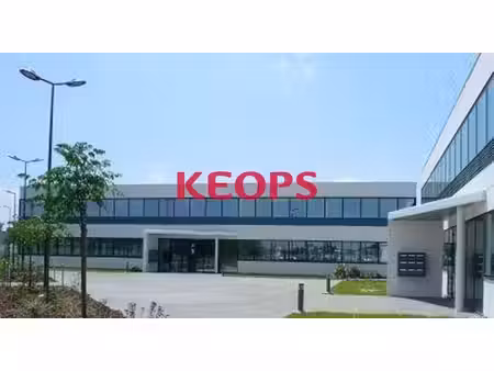 location bureaux 216m²