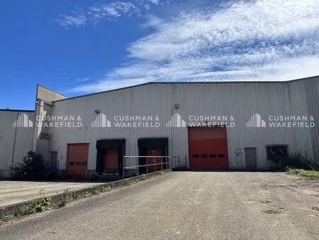 location entrepôt geispolsheim 67118 4858m²