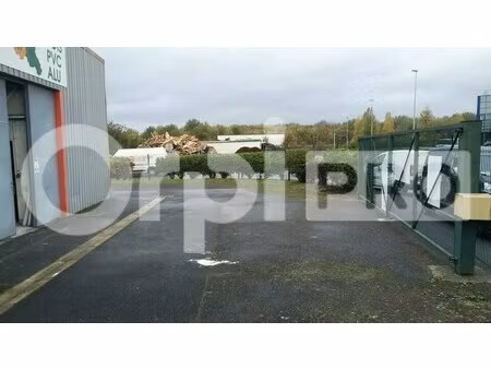 location local d'activités 295 m²