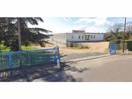 location local d’activités creches sur saone 71680 1000m²
