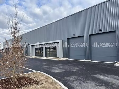 location local d'activités 153 m² à 321 m²