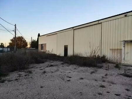 location entrepôt 556 m²