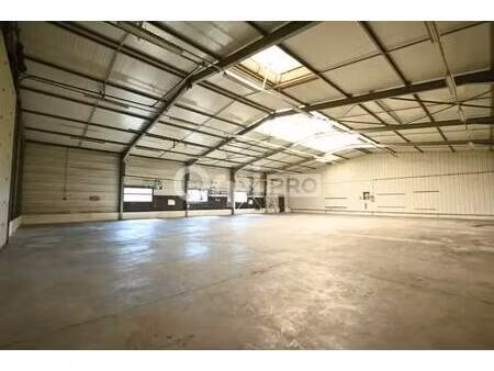 location local d’activités reyrieux 01600 100m² à 764m²
