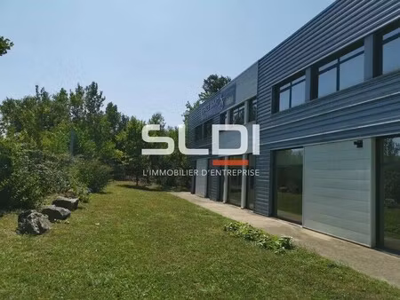 location local d'activités 378 m² à 781 m²