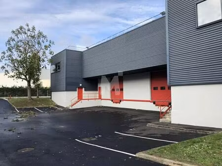 location local d'activités 227 m² à 2 409 m²