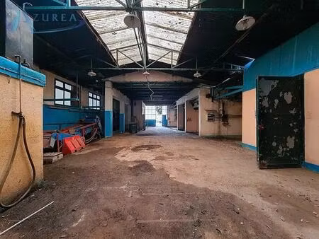 location entrepôt nice 06200 250m²