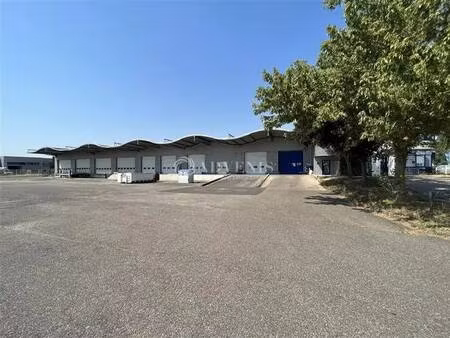location entrepôt souffelweyersheim 67460 2994m²