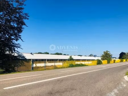 location local d'activités 1 000 m² à 4 000 m²