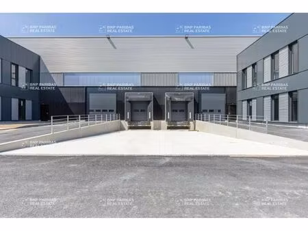 location local d'activités 1 231 m² à 7 068 m²