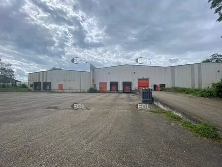 location entrepôt geispolsheim 67118 1080m² à 8202m²