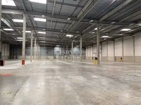 location entrepôt 6 000 m²